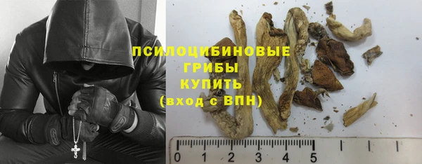 сатива Наволоки