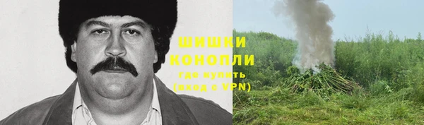 сатива Наволоки