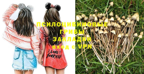 соль ск Покровск