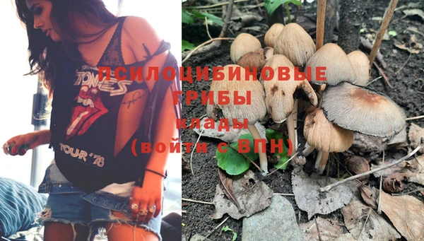 сатива Наволоки