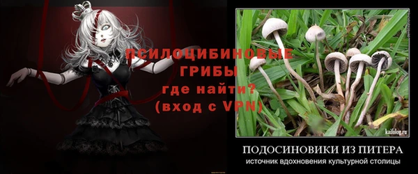 прущие крисы Покров