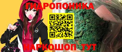 сатива Гай