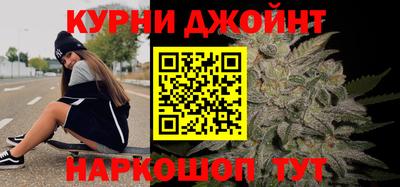 сатива Гай