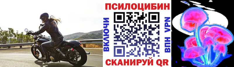 Галлюциногенные грибы Psilocybe Нижнеудинск