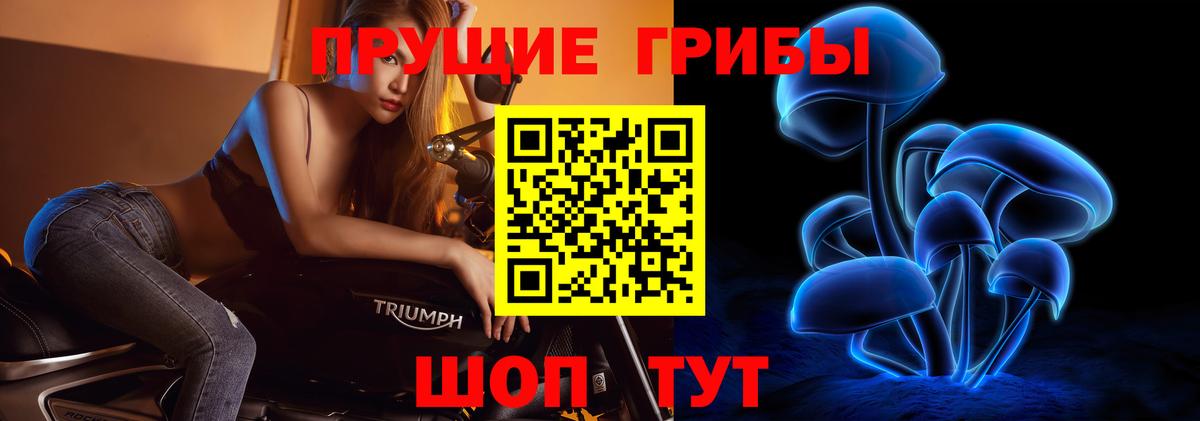 Галлюциногенные грибы мухоморы Нижнеудинск